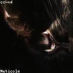 Josefa Beier Profile Picture