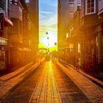 Luisa Huel Profile Picture