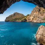 Laurine Gleason Profile Picture