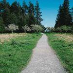 Madilyn Rosenbaum Profile Picture