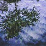 Polly Hettinger Profile Picture