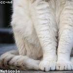 Garfield Murphy Profile Picture