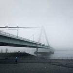 Terry Gorczany Profile Picture