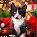 Bessie Okuneva Profile Picture