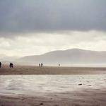 Vincenzo Borer Profile Picture