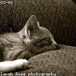 Chadrick Bode Profile Picture