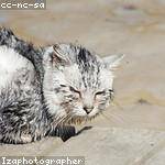 Melyssa Wintheiser Profile Picture