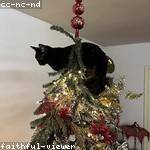 Samantha Schinner Profile Picture