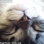 Annabell Von Profile Picture