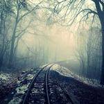 Elinore Heidenreich Profile Picture