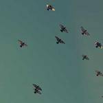 Marilou Denesik Profile Picture