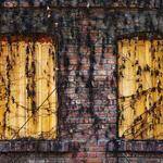 Fidel Powlowski Profile Picture