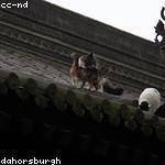 Tamia Murray Profile Picture