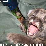 Sasha Reinger Profile Picture