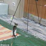 Myriam Pfeffer Profile Picture