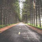 Cayla McCullough Profile Picture