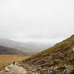 Brendon Leffler Profile Picture