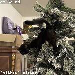 Vicky Braun Profile Picture