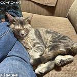 Karolann Bergnaum Profile Picture