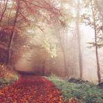 Berniece Sanford Profile Picture