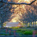 Amaya White Profile Picture