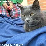 Joseph Roberts Profile Picture