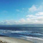 Sasha Ortiz Profile Picture