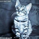 Vivian Goldner Profile Picture