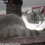 Jan Wisoky Profile Picture