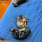 Ida Adams Profile Picture