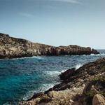 Assunta Schumm Profile Picture