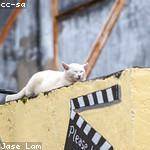 Patsy Rolfson Profile Picture