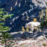 Esteban Dickens Profile Picture