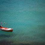 Alisha Sawayn Profile Picture