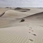 Catharine Pacocha Profile Picture