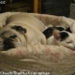 Savanna Macejkovic Profile Picture