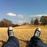 Adeline Little Profile Picture