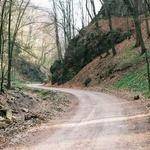 Sandra Johnston Profile Picture