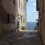 Sienna Leffler Profile Picture