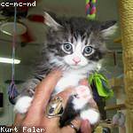 Rubie Lubowitz Profile Picture