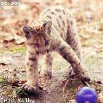 Buddy Bashirian Profile Picture