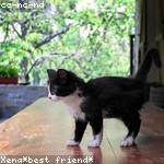 Stevie Tromp Profile Picture