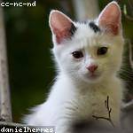 Edison Upton Profile Picture