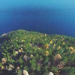 Godfrey Gerhold Profile Picture