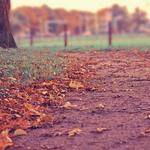 Leif Stark Profile Picture