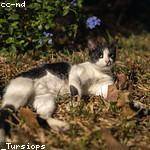 Jason Carter Profile Picture