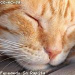 Dixie Hessel Profile Picture