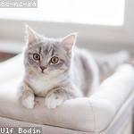 Linnea Bednar Profile Picture