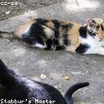 Hilma Veum Profile Picture