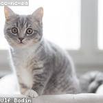 Ethyl Zulauf Profile Picture